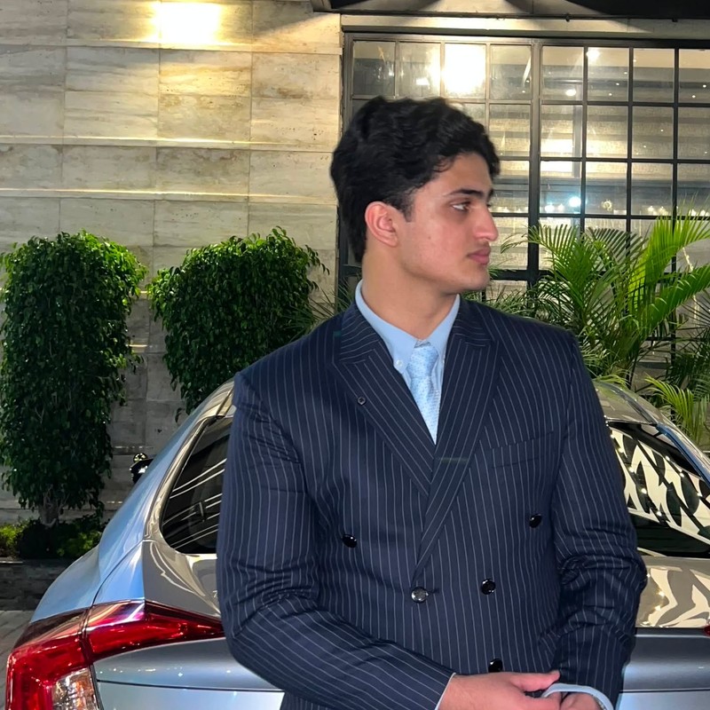 Muhammad Hasnain Asim Abbasi
